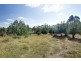24 East Parkham Road, Elizabeth Town TAS 7304