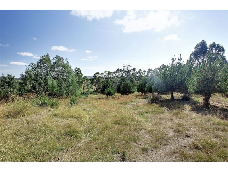 24 East Parkham Road, Elizabeth Town TAS 7304