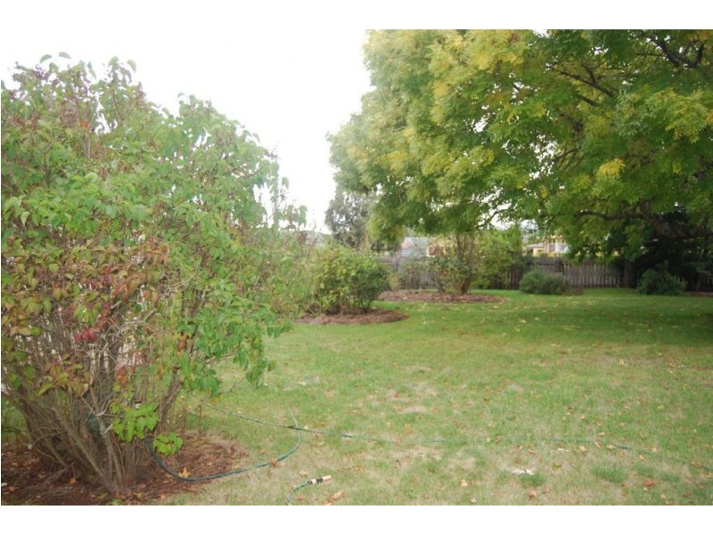 87 William Street, Westbury TAS 7303