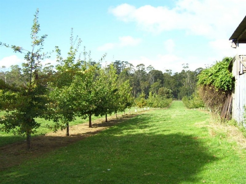 2083 Mole Creek Road, Mole Creek TAS 7304