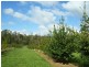 2083 Mole Creek Road, Mole Creek TAS 7304