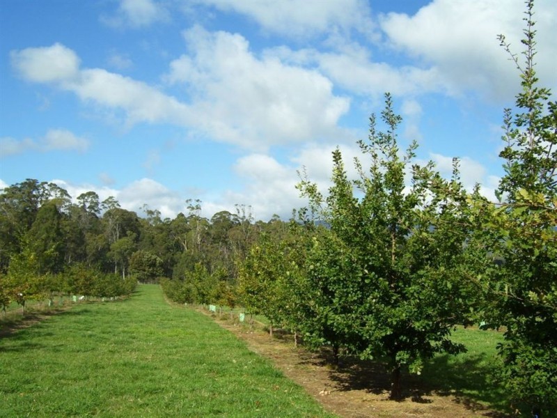 2083 Mole Creek Road, Mole Creek TAS 7304