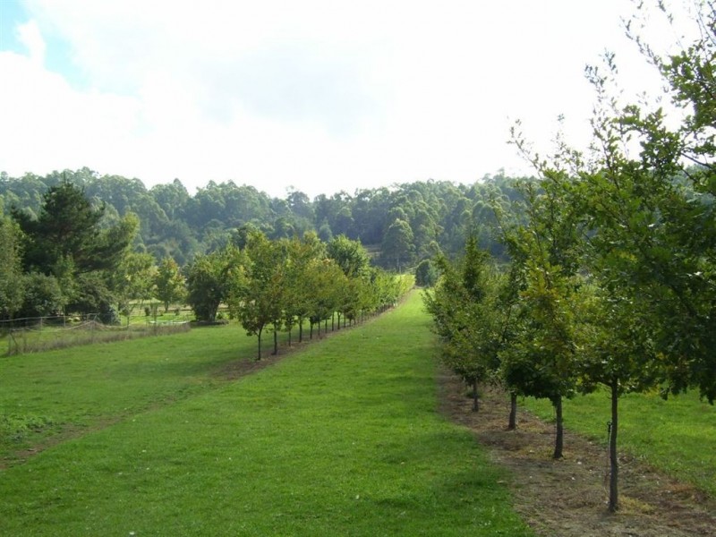 2083 Mole Creek Road, Mole Creek TAS 7304