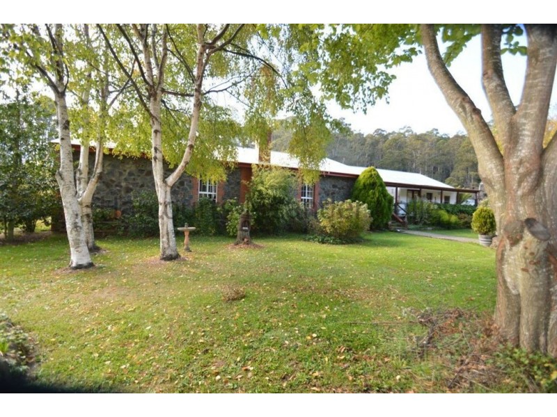 385 Liena Road, Mole Creek TAS 7304