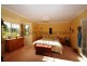 385 Liena Road, Mole Creek TAS 7304