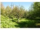 385 Liena Road, Mole Creek TAS 7304