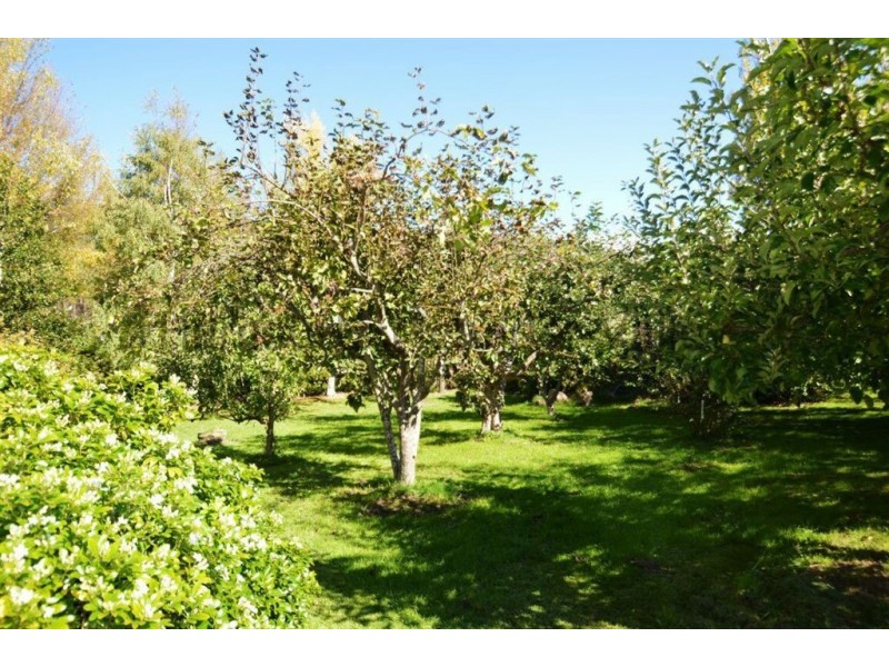 385 Liena Road, Mole Creek TAS 7304