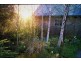 80 Den Road, Mole Creek TAS 7304
