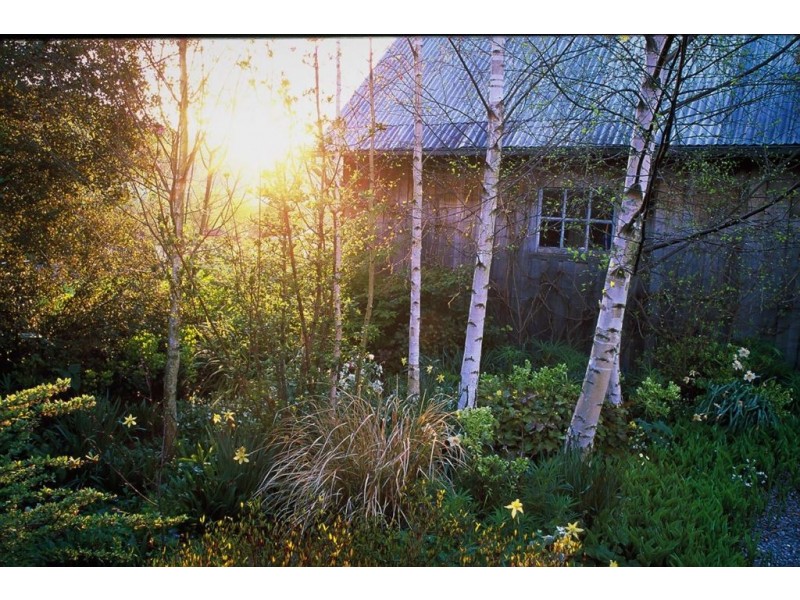80 Den Road, Mole Creek TAS 7304