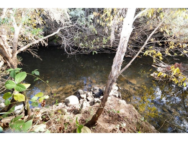 100 Bogan Road, Golden Valley TAS 7304