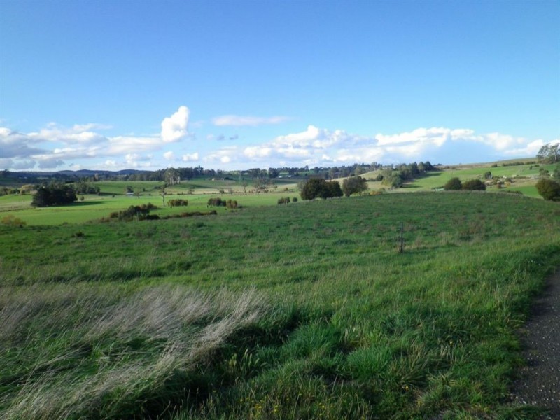 384 Mole Creek Road, Deloraine TAS 7304