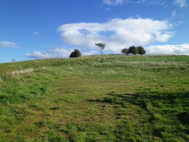 384 Mole Creek Road, Deloraine TAS 7304