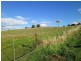 384 Mole Creek Road, Deloraine TAS 7304