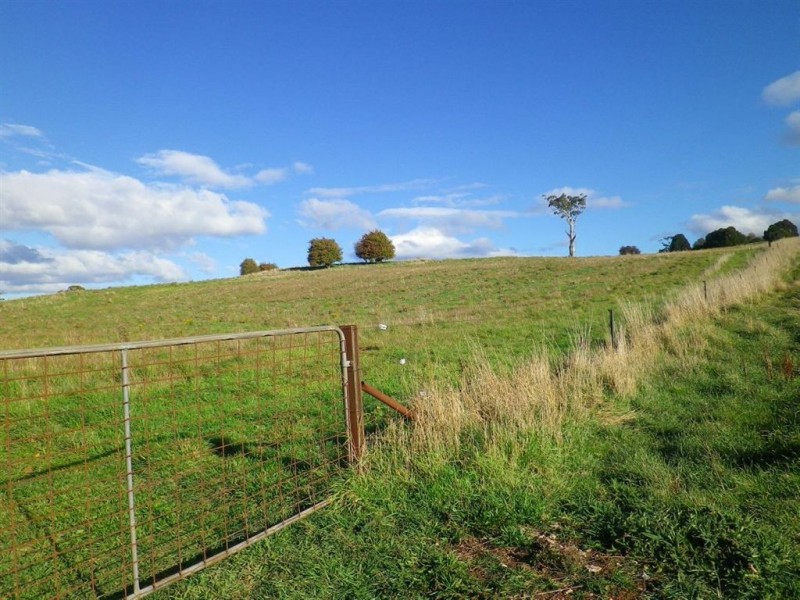 384 Mole Creek Road, Deloraine TAS 7304