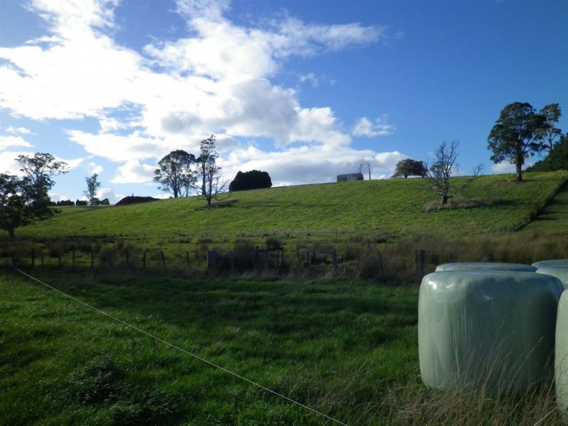 384 Mole Creek Road, Deloraine TAS 7304