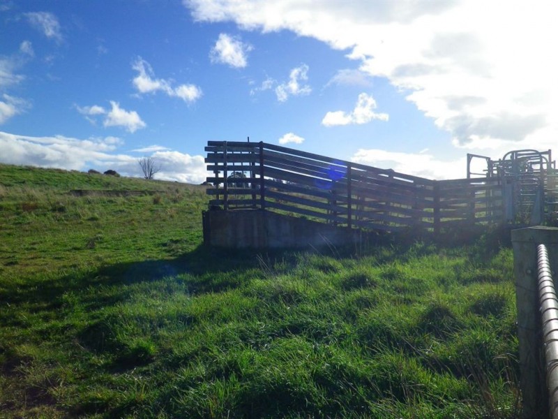 384 Mole Creek Road, Deloraine TAS 7304