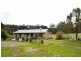 100 Bogan Road, Golden Valley TAS 7304