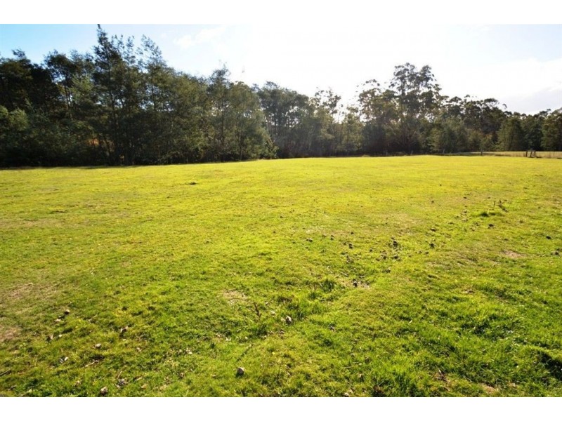 100 Bogan Road, Golden Valley TAS 7304