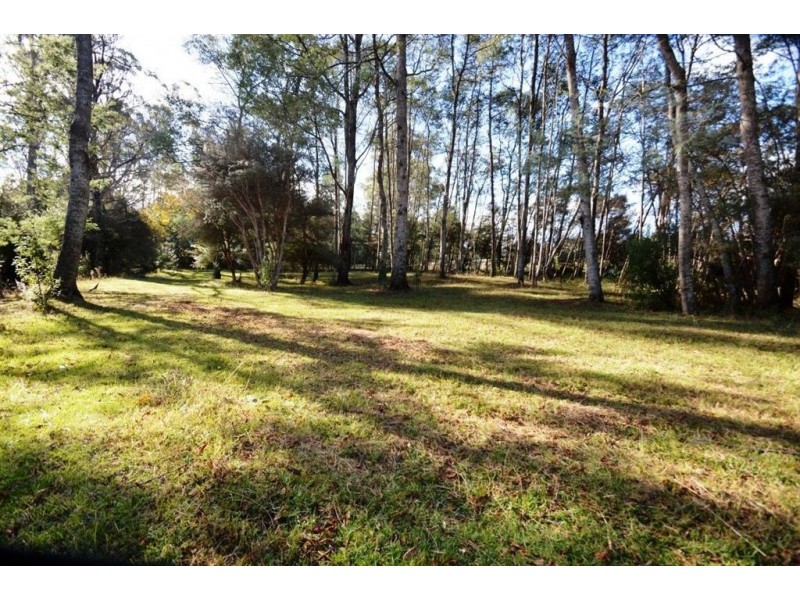 100 Bogan Road, Golden Valley TAS 7304