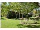 385 Liena Road, Mole Creek TAS 7304