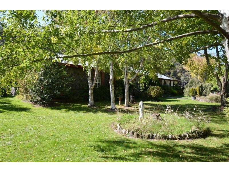385 Liena Road, Mole Creek TAS 7304