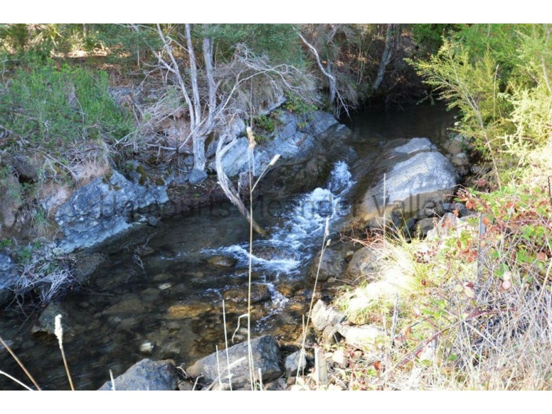 385 Liena Road, Mole Creek TAS 7304