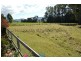 385 Liena Road, Mole Creek TAS 7304