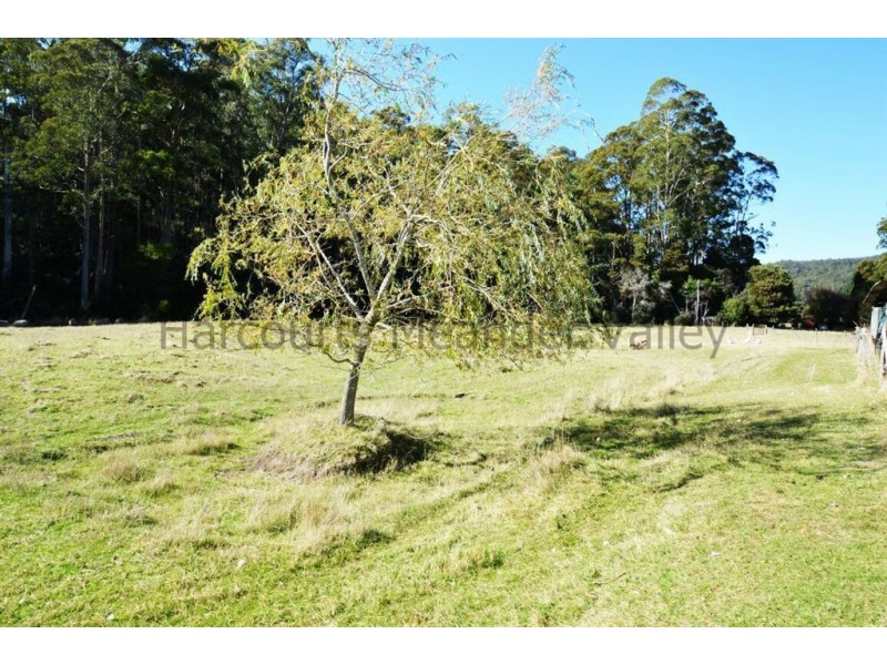 385 Liena Road, Mole Creek TAS 7304