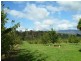 2083 Mole Creek Road, Mole Creek TAS 7304