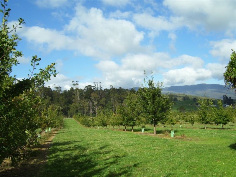 2083 Mole Creek Road, Mole Creek TAS 7304