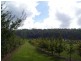 2083 Mole Creek Road, Mole Creek TAS 7304