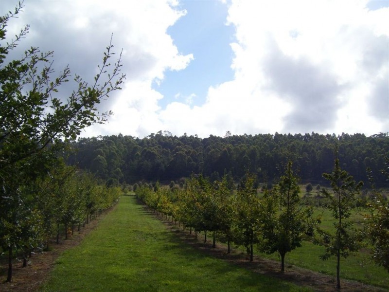 2083 Mole Creek Road, Mole Creek TAS 7304