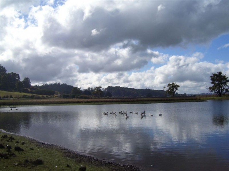 2083 Mole Creek Road, Mole Creek TAS 7304