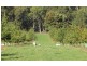 2083 Mole Creek Road, Mole Creek TAS 7304
