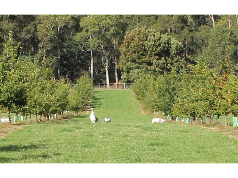 2083 Mole Creek Road, Mole Creek TAS 7304