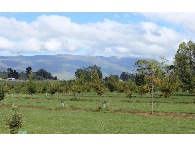 2083 Mole Creek Road, Mole Creek TAS 7304