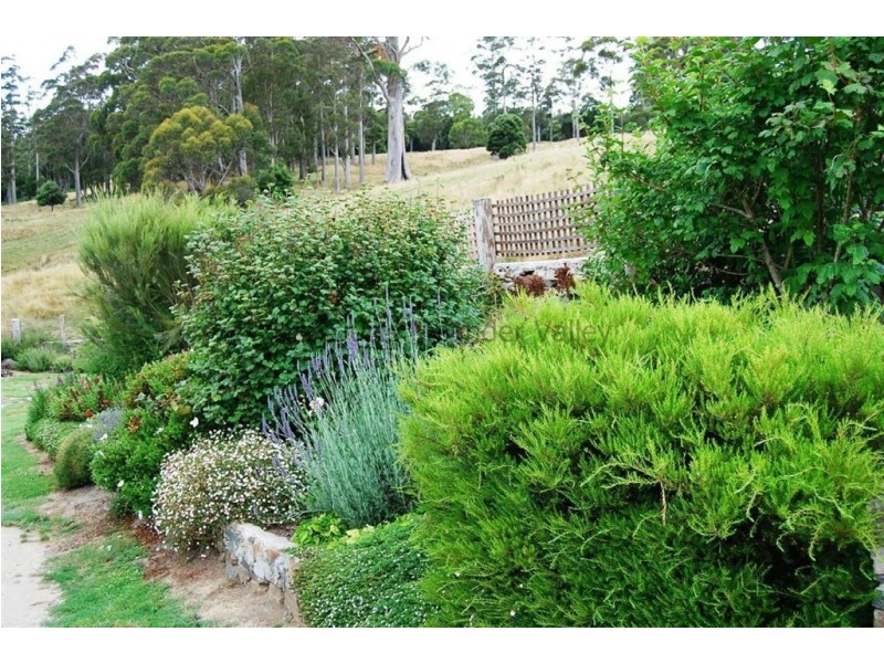 84 Coats Hill Road, Parkham TAS 7304