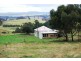 84 Coats Hill Road, Parkham TAS 7304