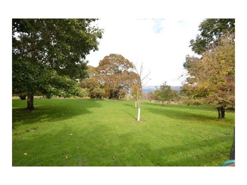 445 Mersey Hill Road, Mole Creek TAS 7304