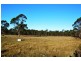 1885 Birralee Road, Birralee TAS 7303