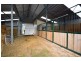 529 Mersey Hill Road, Mole Creek TAS 7304