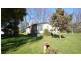 8 Lonsdale Promenade, Westbury TAS 7303