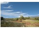 529 Mersey Hill Road, Mole Creek TAS 7304