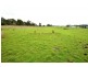 Lot 2 Meander Rd, Meander TAS 7304