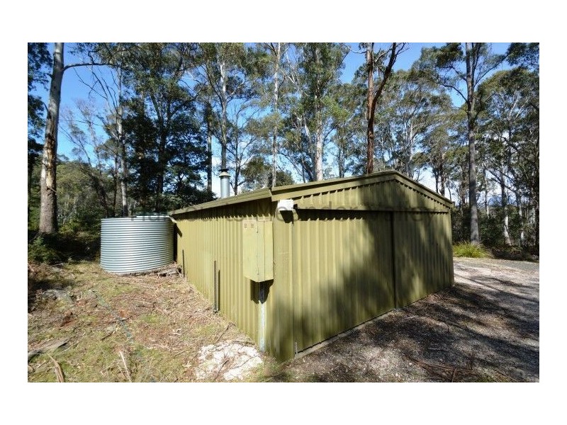 49 Johns Road, Reedy Marsh TAS 7304