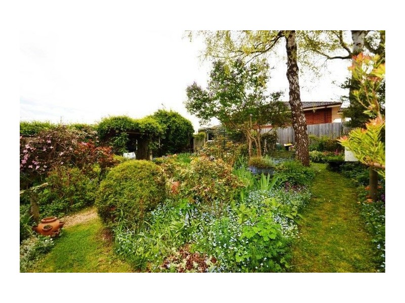 43 Weston Street, Deloraine TAS 7304