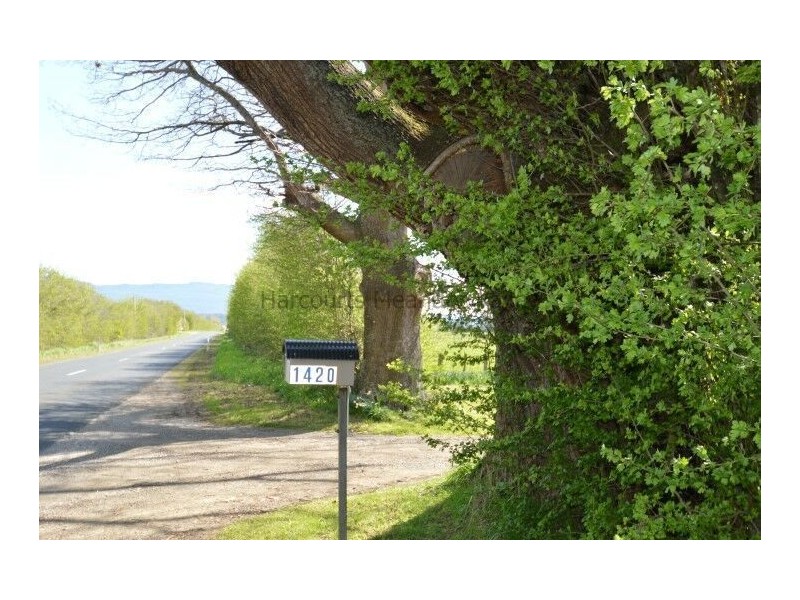 1420 Mole Creek Road, Chudleigh TAS 7304