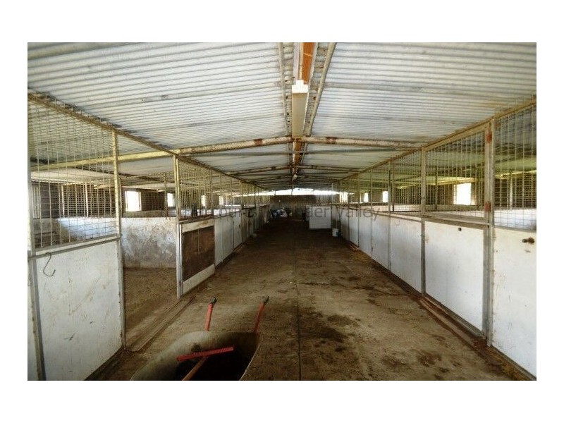 1420 Mole Creek Road, Chudleigh TAS 7304