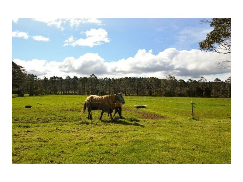 1420 Mole Creek Road, Chudleigh TAS 7304
