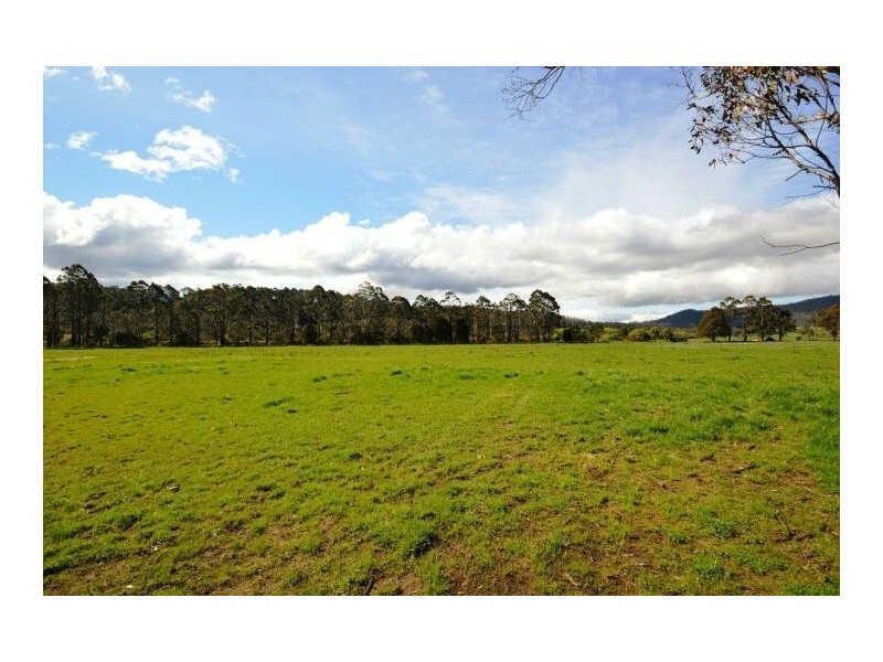 1420 Mole Creek Road, Chudleigh TAS 7304